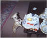 Posted by Liz on 4/13/2001, 37KB
This coffee table is so high for a littly like me