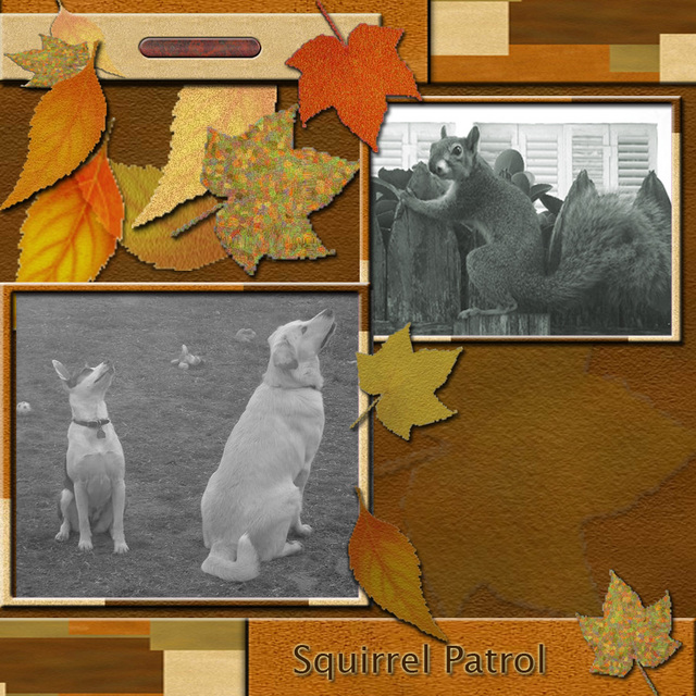 SquirrelPatrol.jpg picture by DogMa_SuZ
