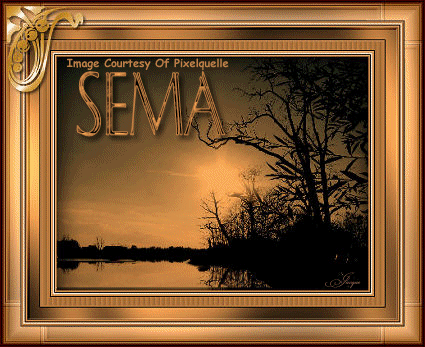 SemaIMG_2140ByJacque.gif picture by hoca