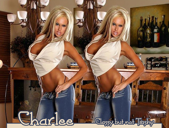 charleetop.jpg picture by skcaga6