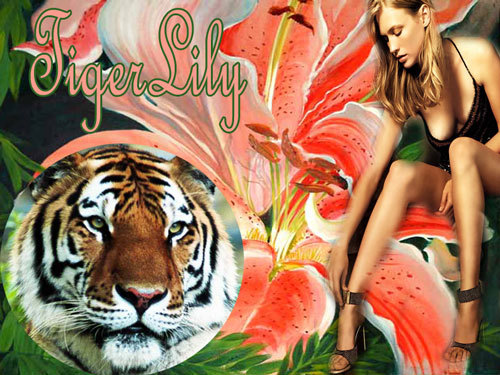 tigerlily.jpg picture by skcaga6