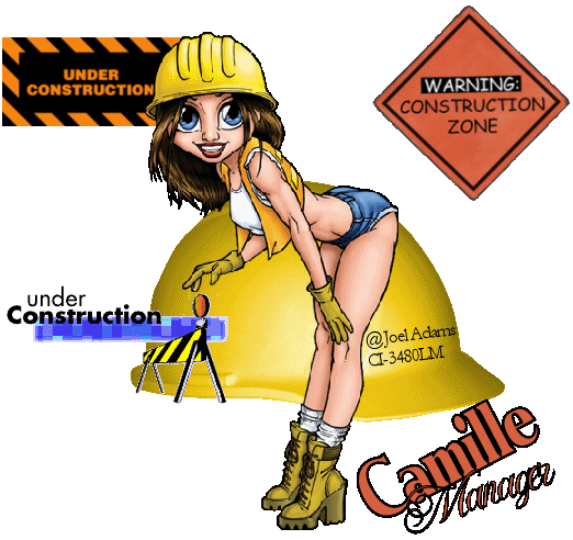 -1aaCONSTRUCTIONcamillemgr.gif picture by cam-4444