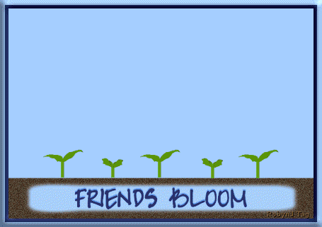 Friends Bloom in Many Colors