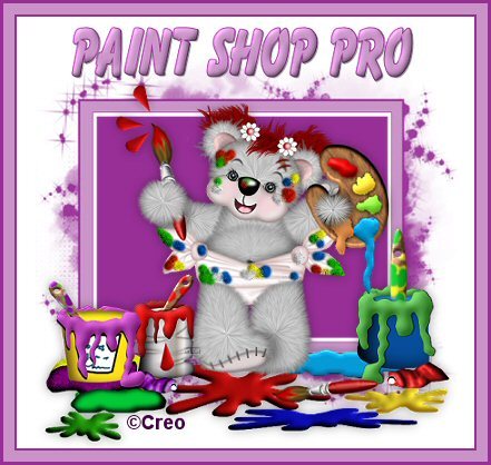 Paintshoppro.jpg
