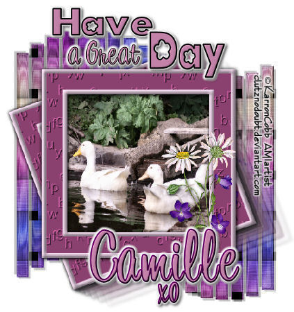 TNTKCgreatdayCambyclutz08.jpg picture by cam-4444