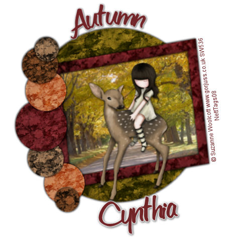 autumnleavesCynthia.jpg picture by mscht1228