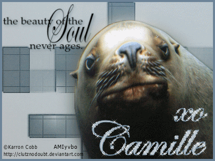 quiz-031108-camille.gif picture by cam-4444