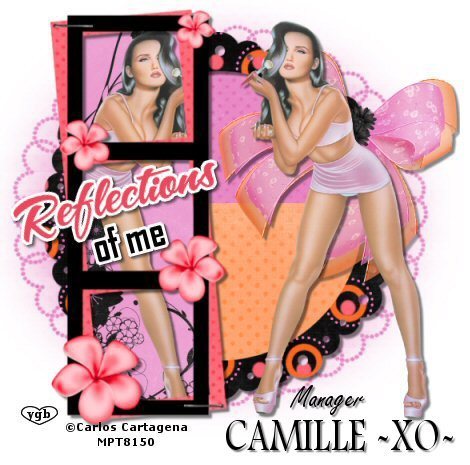reflections-camille.jpg picture by cam-4444