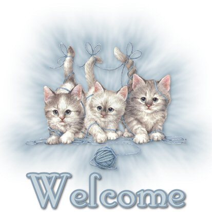 Welcomebluekittens.jpg Kittens 1 picture by enforcer99-photos