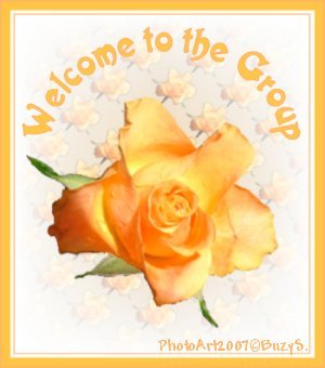 Welcometothegroupapricotrose.jpg Apricot rose picture by enforcer99-photos