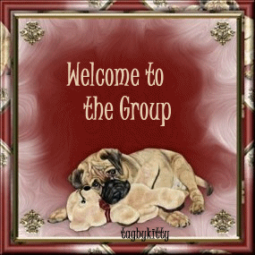 welcometotheGroup-DogandTeddyBear.gif Welcome to the Group - Dog and Teddy picture by BlueAAngel8