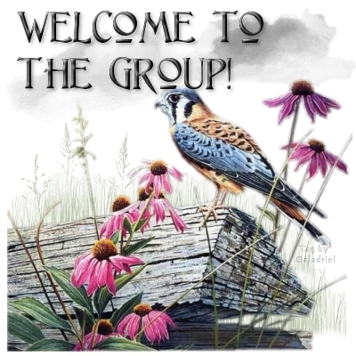 wttg_prairielgvi6-vi1.jpg Bird on log picture by enforcer99-photos