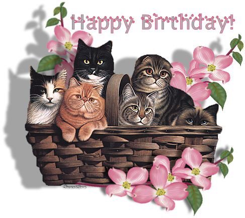 Birthday2520Cat-1.jpg picture by Gummygran