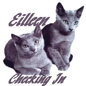 Eillcats.jpg picture by Gummygran