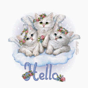 sparklekitties5Fhello5Fes2Dvi1.gif picture by Gummygran