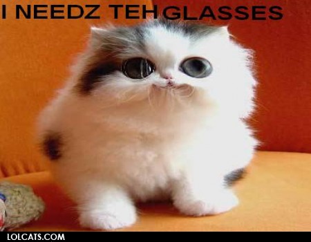 Glasses cat