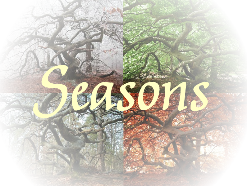Seasons.png picture by Wolf-pictures