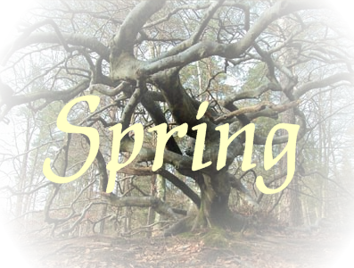 Spring.png Spring picture by Wolf-pictures