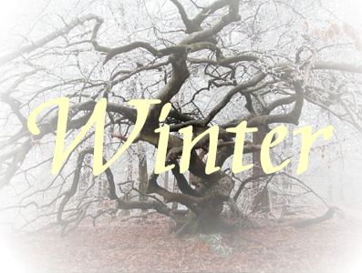 Winter.png picture by Wolf-pictures
