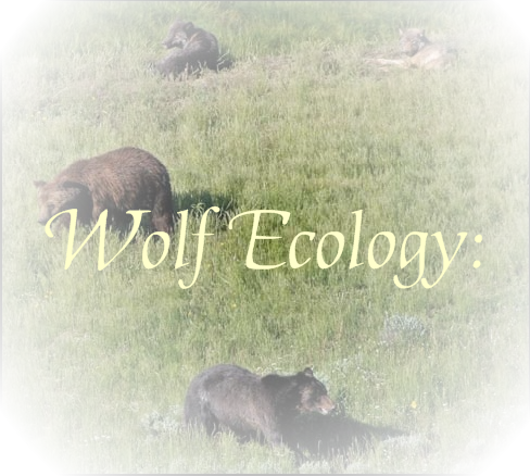 Wolf-Ecology.png picture by Wolf-pictures