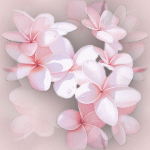 PINK20FLOWERS.gif image by wicked_jill