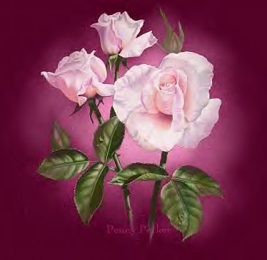 pinkrose.jpg picture by Joy_MsBttrFly