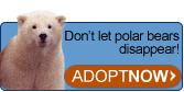 Don't Let Polar Bears Disappear -- Adopt Now!