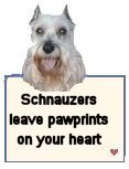 Schnauzersleavepawprints.jpg picture by BrendaJ