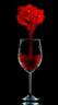 Posted by ◦¤†Đa®k◦£aðyE£ite†¤◦ on 12/4/2006, 31KB