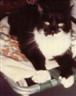 Posted by cyberfert on 1/8/2003, 14KB
Check out the paws.