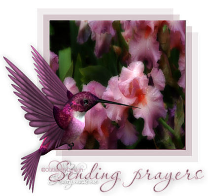 PRAYERS2520252D2520hb3.jpg picture by tamara_pics