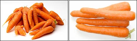 Irregular (Sainsbury's) and regular carrots
