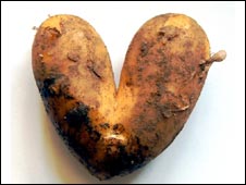 Potato (picture courtesy of Graham Turner)