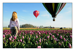 Dreamin_hot_air_balloon_rides