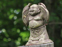 Laughing_buddha