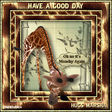 Giraffesnagmarsha.jpg picture by Magickal-Crystal