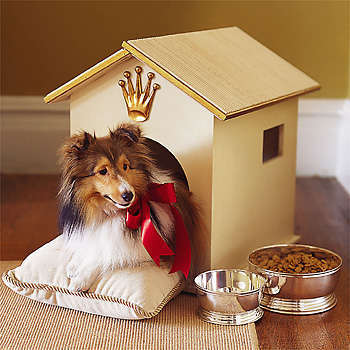 RoyalSheltie.jpg picture by JEWELSGALOR