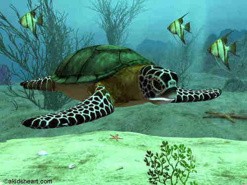 SeaTurtleResizedto500mp.jpg (DO NOT DELETE) picture by JEWELSGALOR