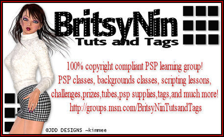 britsyninbanner4.jpg picture by CharlottesOnlineStuff