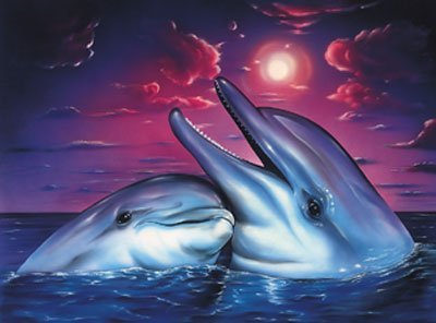 dolphs.jpg picture by JEWELSGALOR