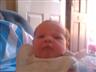 Posted by Skydancing4 on 7/19/2006, 25KB