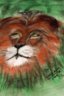 leoone.jpg picture by lindann