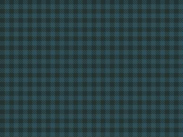 tartan.jpg picture by lindann
