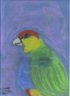 parrot.jpg image by lindann