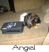 angel.png angel picture by CrazyRavyn