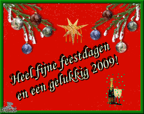 Mieke haar wensen 2009