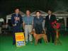 Posted by ThaiDane1 on 8/29/2004, 14KB
Sukhumvit Sundae Market Dog Show
Thai Ridgeback Specialty (14 Aug 2004)
