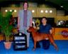 Posted by Thaidane22 on 2/21/2005, 28KB
LaiThai Chaisane ( Sire of our Tsunami litter ) - earned his Thailand Championship last weekend! his was shown in 10 show