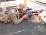 Posted by allenwesley146-2sgt on 12/11/2003, 50KB
Note the 4X Colt standard scope being used. Also the absence of any DPM, as Fiji still uses green uniforms.