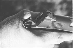 With a proper high hand grip on an auto pistol such as this Wilson Custom CQB .45, you’ll see this “ripple of flesh�behind the grip tang.